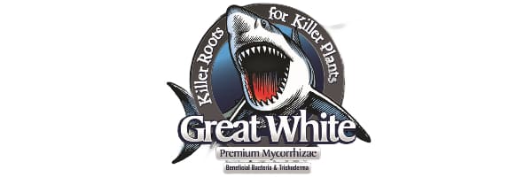Great White Mycorrhizae